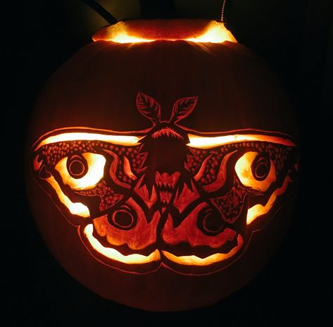 https://twitter.com/aylamanguala Pumpkin Etching, Halloween Pumpkins Carvings Designs, Diy Pumpkin Carving, Emperor Moth, Scary Halloween Decorations Diy, Pumkin Carving, Social Media Marketer, Halloween Pumpkin Carving Stencils, Creative Pumpkin Carving