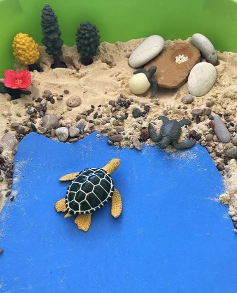 Turtle Sensory Bin | Sensory Bin Diy, Farm Sensory Bin, Homeschool Montessori, Stem Activities Preschool, Preschool Stem, Turtle Crafts, Diy Beach, Homeschool Crafts, Matching Activity