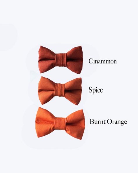 Orange Bow Tie Wedding, Rustic Wedding Outfit, Wedding Outfit For Boys, Burnt Orange Weddings, Ring Boy, Suspenders Wedding, Wedding Reception Design, Terracotta Wedding, Groomsmen Ties