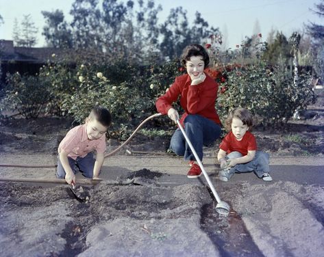 Shirley Temple Temple At Home, Shirley Temple Black, Eddie Fisher, Desi Arnaz, Alfred Eisenstaedt, Mom Photos, Natalie Wood, Italian Actress, Dress Appropriately