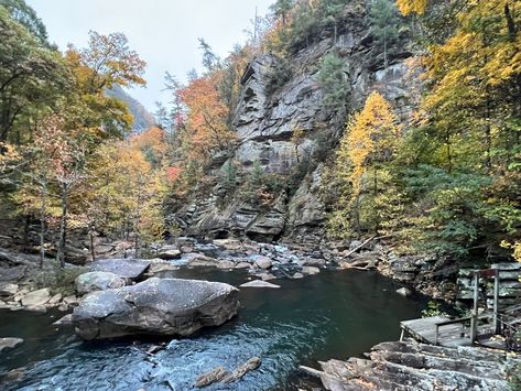 Explore The Great Outdoors At Tallulah Gorge State Park In Georgia On This Extraordinary Day Trip Tallulah Gorge, Hiking In Georgia, Gorges State Park, Visit Georgia, Travel Articles, Amazing Adventures, Heaven On Earth, Great Outdoors, Natural Wonders