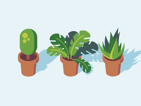 Cute Plant Illustration, Animated Plants, House Plants Illustration, Gardening Illustration, Houseplant Illustration, Plant Flat Illustration, Houseplants Illustration, Simple Vector Illustration, Plants Illustration