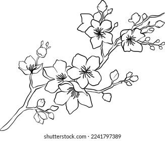 Sketch Flowering Branch Cherry Tree Stock Illustration 630894851 | Shutterstock Tree Branch With Flowers Drawing, Flower Trees Drawing, Cherry Tree Branch Drawing, Branches Drawing Sketch, Flower Branch Drawing, Tree Branches Drawing, Cherry Tree Drawing, Tree Branch Drawing, Branches Drawing