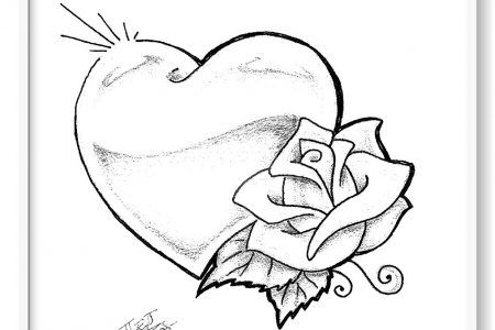 Draw Rose, Tattoo Stencil Designs, Rose Drawing Simple, Rose Tumblr, Cool Easy Drawings, Easy Draw, Easy Drawing Steps, Heart Sketch, Easy Drawings For Kids