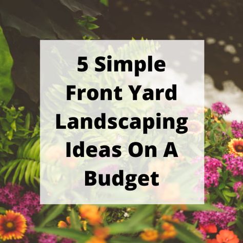 Do you want simple front yard landscaping ideas on a budget? I have 5 trending ideas to share to give you inspiration for your home. If you have a small back garden, you may think that you’re out of options when it comes to creating a beautiful and livable space. Think again! There are plenty ... Read More about 5 Simple Front Yard Landscaping Ideas On A Budget You're reading 5 Simple Front Yard Landscaping Ideas On A Budget written by Chas which appeared first on Chas' Crazy Creations - Se Small Back Garden, Circular Lawn, Green Exterior Paints, Small Back Gardens, Simple Front Yard Landscaping Ideas, Small Front Yards, Budget Landscaping, Simple Front Yard Landscaping, Simple Front Yard