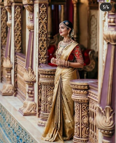 Golden Bridal Saree Indian Weddings, Cream Pattu Saree South Indian Bride, Gold Colour Wedding Saree, Mehandi Saree For Bride, Gold Muhurtham Saree, Muhurtham Saree South Indian Bride Gold, Nettichutti Bridal Kerala, South Indian Bride Saree Color Combinations, Golden Silk Saree Bridal