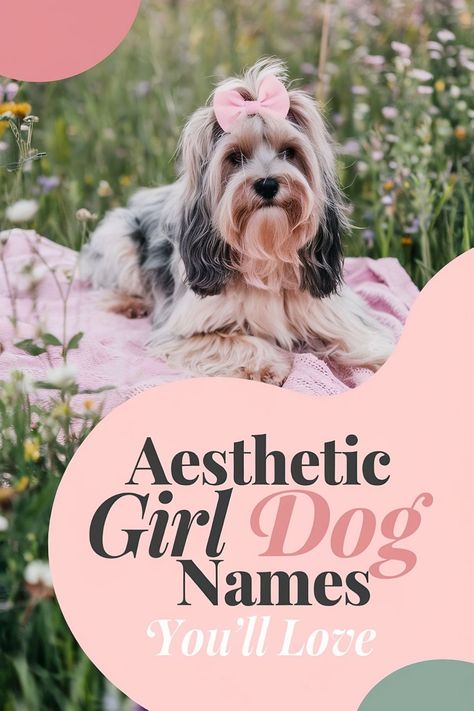 Silky haired dog with a bow on a picnic blanket in a meadow with text suggesting aesthetic girl dog names. Cute Rare Dog Names, Shih Tzu Names Female, Girly Dog Names, Unique Girl Dog Names List, Girl Dogs Name, Names For Dogs Female, Western Girl Dog Names, Good Girl Dog Names, Cute Female Puppy Names