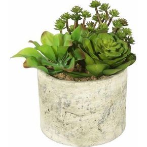 Vickerman 8 inch Artificial Succulent Arrangement, Green Faux Plants Decor, Artificial Succulent Arrangements, Succulent Decor, Bathroom Tile Designs, Artificial Succulents, Succulent Arrangements, Succulent Plants, Faux Plants, Ceramic Pot