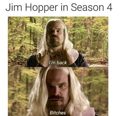 Stranger Things Memes, Jim Hopper, Stranger Things Quote, Stranger Things Girl, Stranger Things Poster, Stranger Danger, Stranger Things Kids, Stranger Things Actors, Stranger Things Have Happened