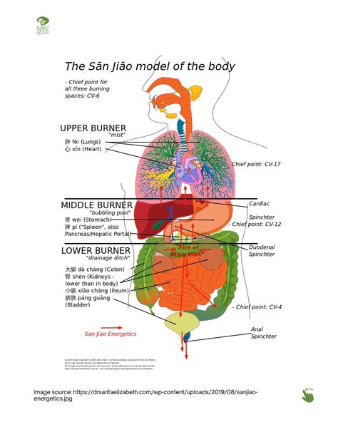 Breathe into your San Jiao with these Qi Gong techniques! 🫁✨ Expand your chest, ribs, and back for optimal energy flow. ☯️ These are a series of exercises designed to energize and regulate the three parts of the San Jiao (upper, middle, and lower torso), which correspond to respiration, digestion, and elimination. Try these exercises and let us know how you feel afterwards 😄 Observe how you feel before doing the exercise, and after doing the exercise. did you notice some difference? Wan... Drainage Ditch, Qi Gong, Energy Flow, The Middle, How Are You Feeling, Energy, Let It Be, Quick Saves