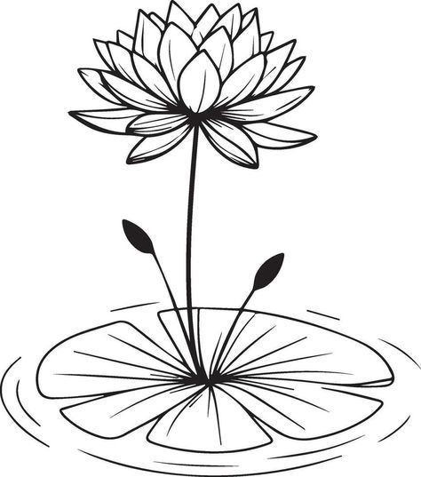 Waterlily Sketch, Water Lily Tattoo Design, Tattoo Designs Realistic, Water Lily Tattoo, Sketch Traditional, Water Lily Tattoos, Lotus Vector, Lily Tattoo, Vector Sketch