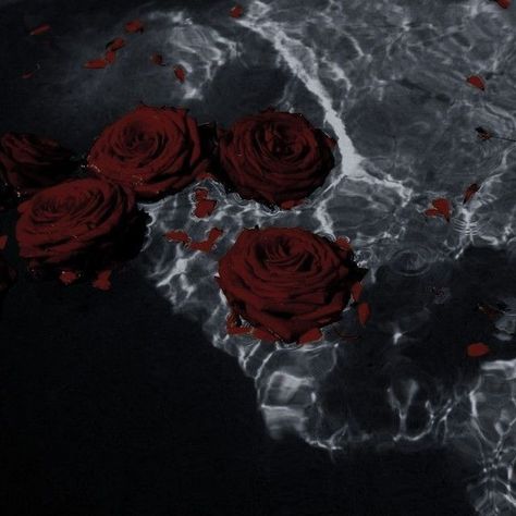 Blood Roses Aesthetic, Camorra Chronicles, Dark Red Roses, Rosé Aesthetic, Pop Art Wallpaper, Gothic Aesthetic, Fantasy Aesthetic, Rose Wallpaper, Red Aesthetic