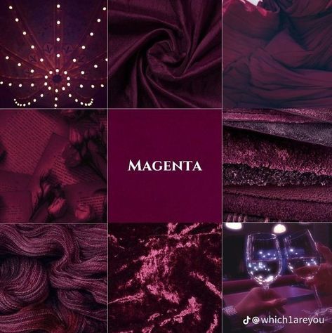 Color Palette Red Purple, Mulberry Paint Color, Maroon Color Palette Colour Schemes, Red And Purple Palette, Dark Plum Aesthetic, Dark Plum Bedroom, Plum Color Aesthetic, Purple And Red Color Palette, Red Purple Color Palette