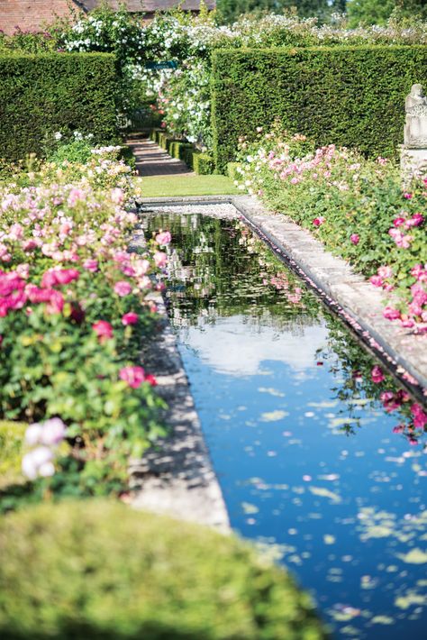 Archways and shouldering roses, canals sprinkled with petals, and a cafe with the blooms adorning its foundation beautify the acreage where pollen is transferred to one promising parent to another—The David Austin rose gardens in Shropshire, England. Romantic Gardens, Shropshire England, Rose Garden Landscape, David Austin Rose, Funny Vine, Tattoo Plant, Rose Garden Design, Victoria Magazine, Rose Gardens