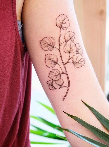 Poplar Tree Tattoo, Denali Tattoo, Aspen Leaf Tattoo, Aspen Tattoo, Aspen Tree Tattoo, Aspen Trees Tattoo, Tree Tattoo Ideas, Aspen Leaves, Henna Tattoo Designs Arm