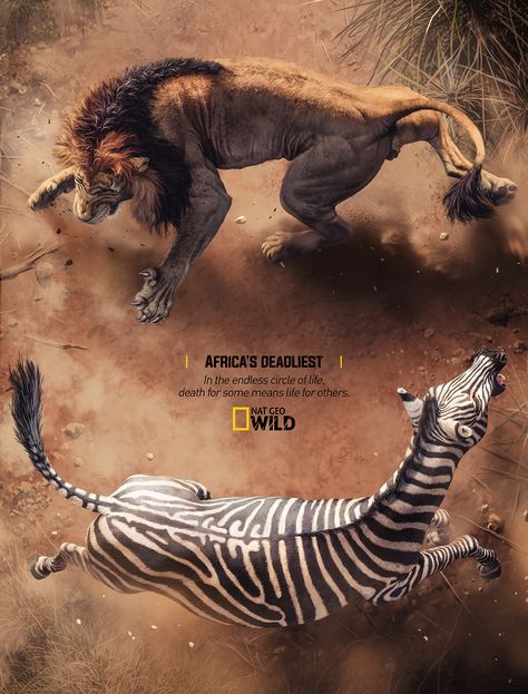 Nat Geo Wild - Circle Of Life on Behance Poster Inspiration Creativity, Wild Illustration, National Geographic Animals, Art Direction Advertising, Nat Geo, Extinct Animals, Print Advertising, Circle Of Life, Creative Posters