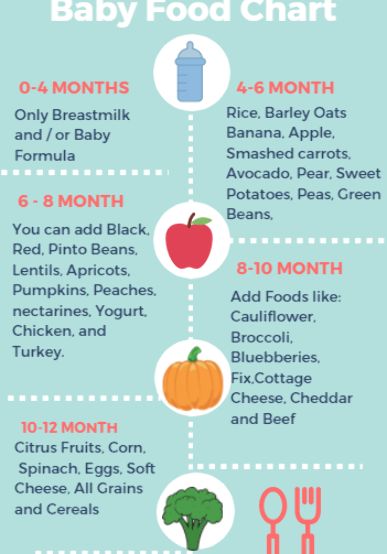 Organic Baby Formula, Baby Apple, Baby Feeding Chart, Baby Food Chart, Introducing Solids, Bun In The Oven, Meat Dinners, 6 Month Old Baby, Food Charts