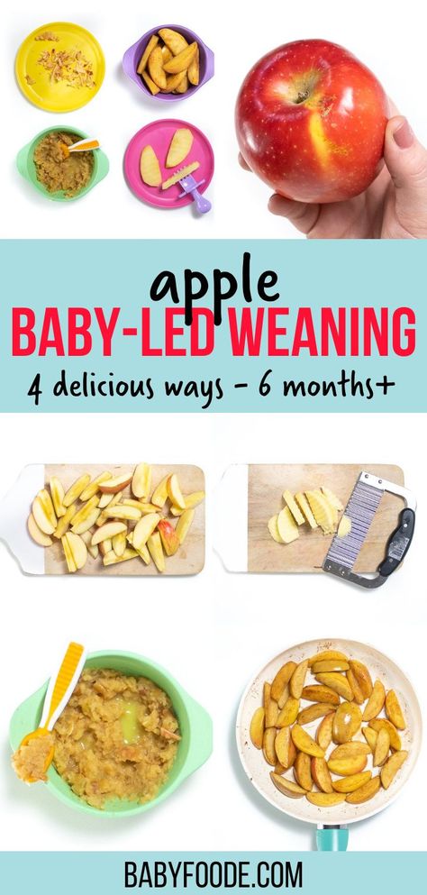 Apples are bursting with essential nutrients for a growing baby. You can serve apples to baby as a smooth baby food puree or as a finger food for baby-led weaning. Either way is a great option, and one is not better than the other. The ultimate goal for the first 100 days of introducing solid foods is to serve as many flavors and textures to baby as possible. 6 months and up. Baby First Finger Foods, Apple Baby Food, Introducing Solid, Easy Homemade Baby Food, Baby Food Puree, 6 Month Baby Food, Baby Led Weaning First Foods, Weaning Foods, Baby Led Feeding