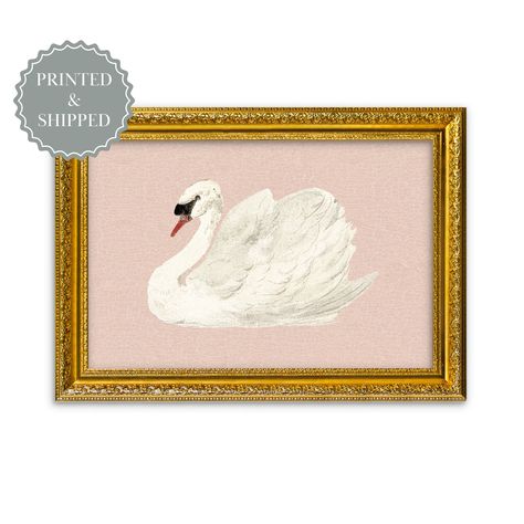 This altered Vintage swan of cracked paint on a pink background art print is the perfect accent piece of your nursery decor, and is now available to you on your choice of material, and 𝐒𝐇𝐈𝐏𝐏𝐄𝐃 to you with 𝐅𝐑𝐄𝐄 𝐒𝐇𝐈𝐏𝐏𝐈𝐍𝐆!  See our many offerings now available to you of 𝐌𝐀𝐈𝐋𝐄𝐃 Giclee paper art prints on 𝐅𝐈𝐍𝐄 𝐀𝐑𝐓 𝐏𝐀𝐏𝐄𝐑, or 𝟏𝟎𝟎% 𝐂𝐎𝐓𝐓𝐎𝐍 𝐏𝐀𝐏𝐄𝐑, 𝐑𝐎𝐋𝐋𝐄𝐃 𝐂𝐀𝐍𝐕𝐀𝐒, 𝐒𝐓𝐑𝐄𝐓𝐂𝐇𝐄𝐃 𝐂𝐀𝐍𝐕𝐀𝐒  or as an 𝐈𝐍𝐒𝐓𝐀𝐍𝐓 𝐃𝐎𝐖𝐍𝐋𝐎𝐀𝐃 𝐏𝐑𝐈𝐍 Farmhouse Nursery Decor, Swan Art, Wall Art Country, Swan Painting, Vintage Nursery Decor, Vintage Swan, Cracked Paint, Swans Art, Farmhouse Nursery