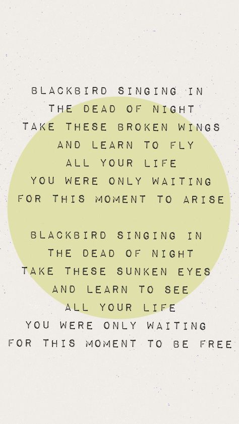 Butcher And Blackbird Quotes, Blackbird Wallpaper, Blackbird Lyrics, Blackbird Beatles, Blackbird Singing, Sunken Eyes, Tattoo Thoughts, Lyrics Tattoo, Broken Wings