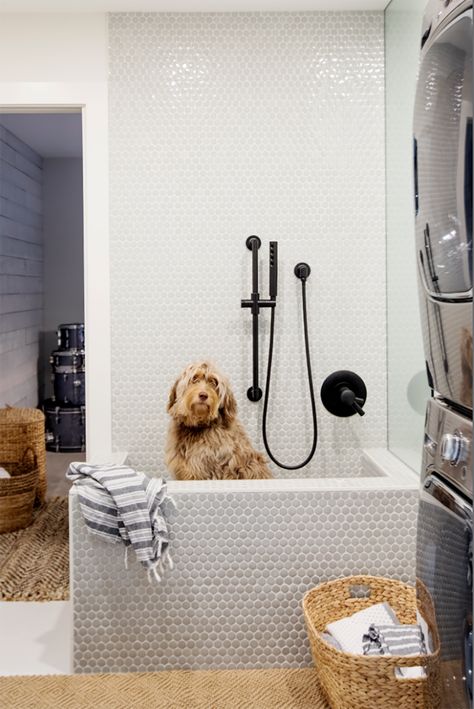 Dog Bathing Station, Dog Room Decor, Dog Feeding Station, Dog Spa, Dog Washing Station, Dog Spaces, Laundry Design, Dog Wash, Dog Shower