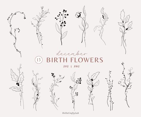 December Birth Month SVG Lineart Botanical Svg December Birth floral tattoo Svg Minimalist tattoo Flower SVG Bouquet birth flower svg winter #branddesign #identity December And July Birth Flower Tattoo, December Flower Tattoo Birth Month, December Tattoos Ideas, Lab Clipart, December Flower Tattoo, December Tattoo, December Birth Flower Tattoo, Birth Flower Svg, December Flower