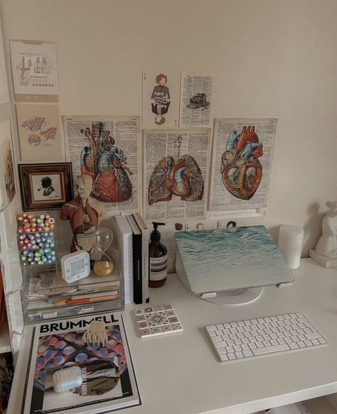 Med School Room Decor, Phlebotomy Student Aesthetic, Medical School Desk, Med Student Dorm Room, Medical Bedroom Ideas, Nursing School Desk Ideas, Medical School Apartment, Medical Room Decor, Med Student Room Decor