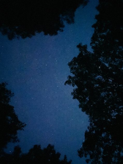 the photo shows a picture taken looking up at the blue night sky which shows a variety of white big and small stars Summer Camp Night Aesthetic, Campsite Aesthetic Night, Dark Summer Camp Aesthetic, Camping At Night Aesthetic, Summer Camp Aesthetic Dark, Voltron Klance Aesthetic, Dark Camping Aesthetic, Camp Councilor Aesthetic, Space Camp Aesthetic