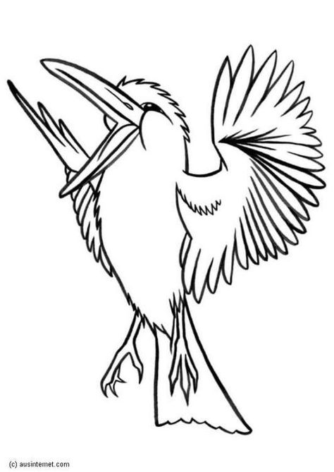 Coloring page kookaburra - img 5607. Kookaburra Drawing, Birds Preschool, Fnaf Coloring Pages, Animal Outline, Bird Illustrations, Animal Printables, Art Lessons Middle School, Bird Coloring Pages, Online Coloring Pages