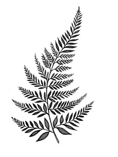 Fern Tattoo Drawing, Fern Leaf Tattoo Design, Long Leaf Tattoo, Big Leaf Tattoo, Tattoo Ideas Leaf, Plants Tattoo Design, Fern Outline, Fern Leaf Drawing, Simple Leaf Drawing