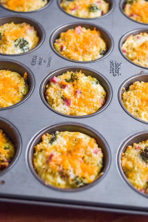 Ham Quiche Recipes, Broccoli Egg Muffins, Ham Broccoli, Quinoa Egg, Ham Quiche, Quinoa Broccoli, High Fiber Breakfast, Quinoa Recipes Easy, Breakfast Quinoa