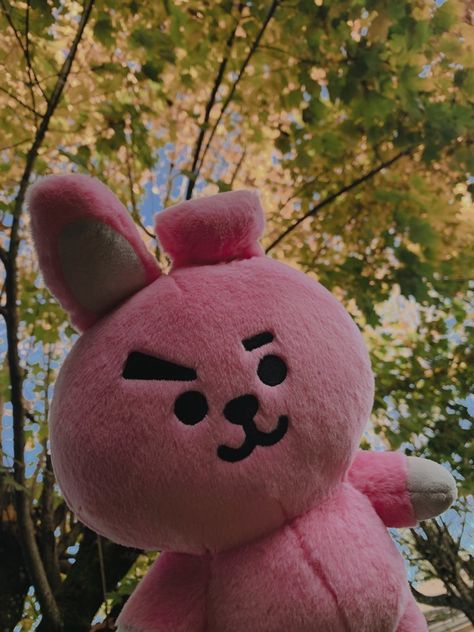 Pink Ipad Theme, Cute Stuff Toys, Bt21 Plushies, Bt21 Aesthetic, Bt21 Plush, Plush Aesthetic, Cooky Bt21, Bts Friendship, Bt21 Characters