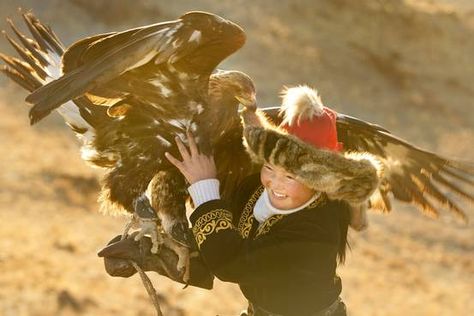 ‘The Eagle Huntress’ Review: Soaring Documentary - WSJ Eagle Huntress, Mongolian Eagle, Eagle Hunter, Aigle Royal, Photo Arts, Lady Macbeth, Daisy Ridley, Golden Eagle, An Eagle