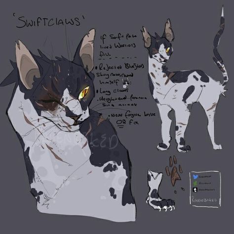 Warrior Cats Ocs, Warrior Cats Oc Design, Warrior Cats Oc Ideas, Drawing Warrior, Warrior Cats Oc, Warrior Cats Comics, Warrior Cats Series, Cat Anatomy, Warrior Cats Fan Art