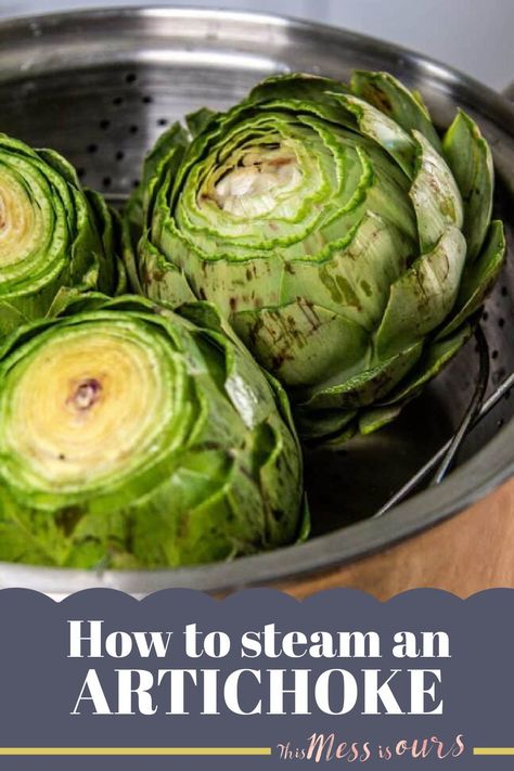 One of the most common ways to eat an artichoke is steamed. It's an easy preparation method assuming you have a few tools like a steamer basket and a large stock pot. Before you can actually steam an artichoke though, you need to know how to clean and prep a fresh artichoke first. I'll show you everything you need to know to make steamed artichokes at home! @cagrown #thismessisours #artichokes Fresh Artichoke, Steamed Artichokes, Dipping Sauce For Artichokes, Steam Artichoke, Easy Paella, How To Cook Artichoke, Baked Artichoke, Grilled Artichoke, Roasted Artichoke