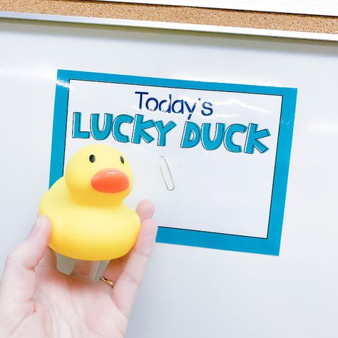 Classroom Duck Theme, Lucky Ducks Classroom Management, Lucky Ducks Classroom, Duck Doodle, Lucky Ducks, Classroom 2023, Classroom Management Elementary, Behavior Incentives, Effective Classroom Management