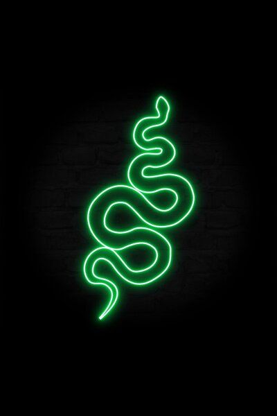 A vector icon of a snake outline with a vaporwave vibe! This design is featured with a green color. Snake Icon, Snake Outline, Galaxia Wallpaper, Green Aesthetic Tumblr, Retro Vaporwave, Dragon Wallpaper Iphone, Dark Green Wallpaper, Snake Wallpaper, Verde Neon