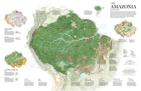 GEOGRAPHY The biodiversity of the Amazon rain forest is not entirely pristine. It was also shaped by an ancient hunger for fruits and nuts. (Nature) Use our activity to learn more about biodiversit… Amazon Rainforest Map, Rainforest Map, Brazil Rainforest, Amazon Deforestation, Amazon Rain Forest, Animal Infographic, National Geographic Maps, Scientific Poster, Forest Map