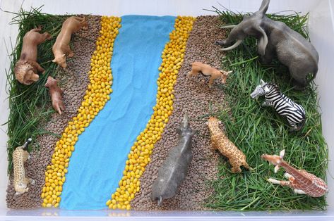 Creative Projects for Kids: African Savannah Sensory Bin Food Web Activities, Safari Activities, Habitats Projects, African Savannah, Sensory Boxes, Animal Activities, Animal Habitats, Sensory Bin, Baby Sensory