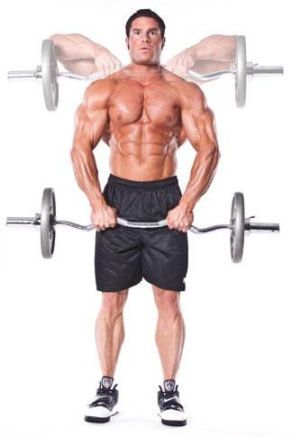 Curl Bar Upright Row Curl Bar Exercises, Bar Workouts, Bigger Shoulders, Bar Exercises, Shoulder Gym, Back Workout Routine, Effective Workout Plan, Sports Physical Therapy, Good Arm Workouts