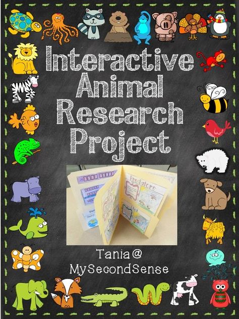 Interactive Animal Research - Maybe a way to introduce research to my first and second graders. From Tania at My Second Sense Animal Research Project, Pbl Projects, Animal Research, Inquiry Learning, Genius Hour, 2nd Grade Writing, 1st Grade Science, First Grade Science, Inquiry Based Learning