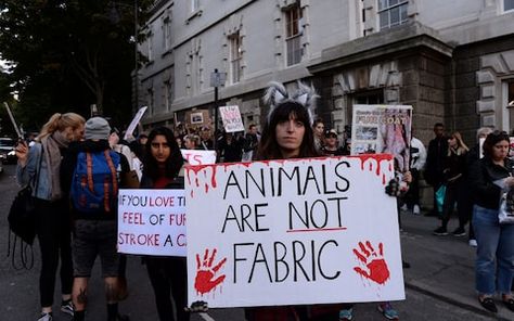 Norway set to become first Nordic country to ban fur farming Vegan Protest, Store Quote, Textiles Sketchbook, Non Human, Animal Activism, Protest Art, Nordic Countries, Circular Economy, A Level Art