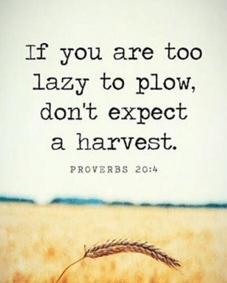 If you are too lazy to plow don't expect a harvest. Proverbs 20:4 Harvest Quotes Inspiration, Proverbs About Money, Harvest Quotes, Goals Quotes Motivational, God Provides, Work Decor, Proverbs 23, Proverbs 20, Mom Prayers