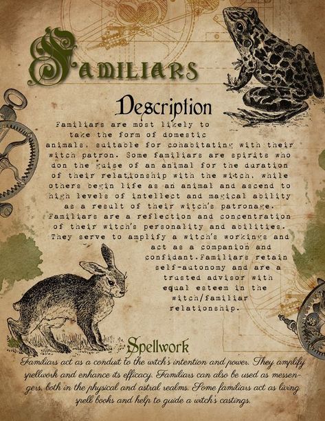 Familiars – Witches Of The Craft® Book Of Shadows Pages, Witches Familiar, Three Wishes, Animal Spirit Guides, Witchcraft Books, Wiccan Magic, Grimoire Book, Wiccan Witch, Eclectic Witch