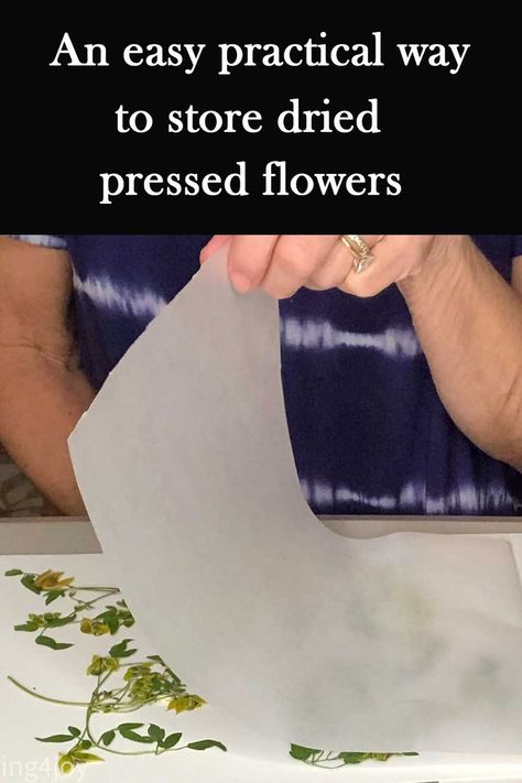 How To Put Dried Flowers In Resin, How To Store Dried Pressed Flowers, What To Do With Dried Flower Petals, How To Use Pressed Flowers, How To Keep Dried Flowers, How To Dry Press Flowers, Pressed Flower Storage Ideas, Storing Pressed Flowers, Storing Dried Flowers