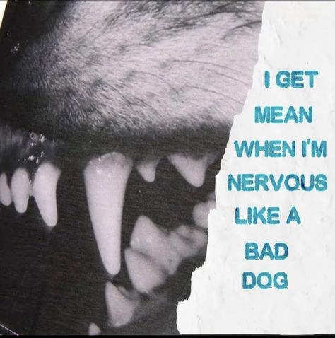 Bad Dog Art, Bad Dog Quotes, I Love You Like A Rotten Dog, Canine Poetry Art, Rabid Aesthetic, Im Not A Violent Dog Idk Why I Bite, Evil Oc Art, Dog Metaphor, Bad Dog Aesthetic