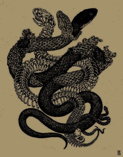 Snake Shedding Skin Tattoo, Snake Skin Shed, Shedding Snake Tattoo, Snake Shedding Skin, Snake Coming Out Of Skin Tattoo, Severed Snake Head Tattoo, Gothic Snake Drawing, Snake Shedding Art, Decaying Snake Tattoo