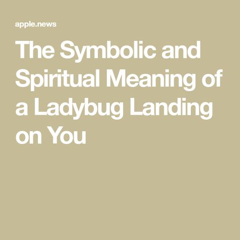 The Symbolic and Spiritual Meaning of a Ladybug Landing on You Ladybug Spiritual Meaning, Ladybug Symbolism, Ladybug Meaning, Yellow Ladybug, A Ladybug, Spiritual Meaning, Lucky Day, Lady Bug, Meant To Be