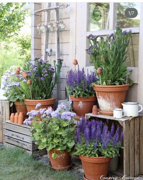 Flower Pot Display Ideas, Jamaican Garden, Collage Houses, Pot Display, Hard To, Courtyard Gardens, Small Courtyard Gardens, Courtyard Gardens Design, Your Favorite