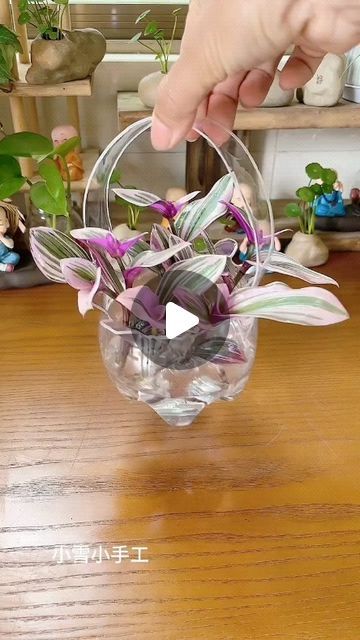 1,570 likes, 4 comments - crafthub247 el May 31, 2024: "Wait for end ❤️ 
.
.
.
.
.
.
#crafts #trending #explorepage✨ #foryou". Plastic Bottle Art Diy, Plastic Bottle Crafts Diy Plants, Bottle Plants Ideas, Recycled Garden Crafts, Plastic Bottle Crafts Flowers, Garden Ideas With Plastic Bottles, Recycled Bottle Crafts, Plastic Bottles Crafts, Plastic Bottle Crafts Diy